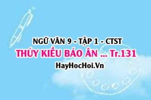 Soạn bài Thúy Kiều báo ân báo oán trang 131 Ngữ văn lớp 9 tập 1 Chân trời sáng tạo